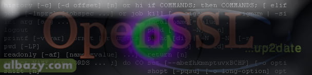 OpenSSL Update to 0.9.8k OpenSSL Update to 0.9.8k